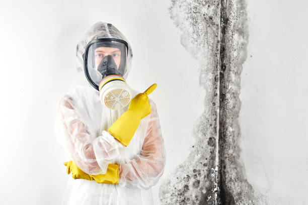 Best Mold Prevention Services  in Biggs, CA